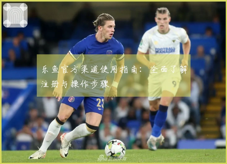 乐鱼官方渠道使用指南：全面了解注册与操作步骤